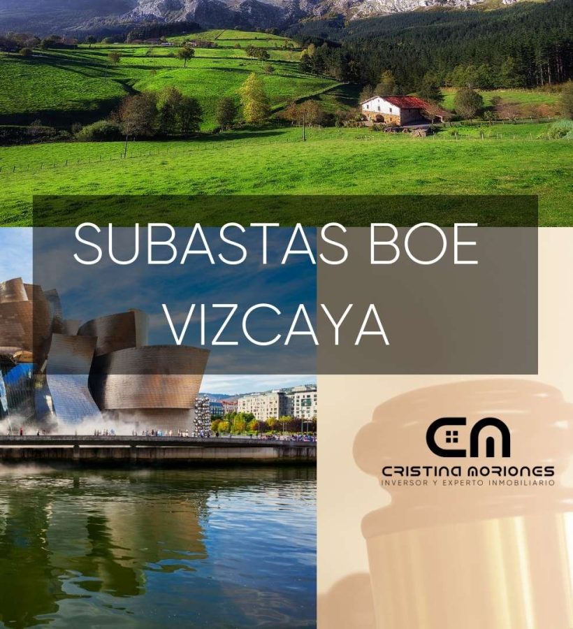 subastas-viviendas-vizcaya-compra-barato-pisos-inmuebles-costa-historia-pais-vasco-naturaleza-oportunidad-ocasion-familia-vaciones-rustico